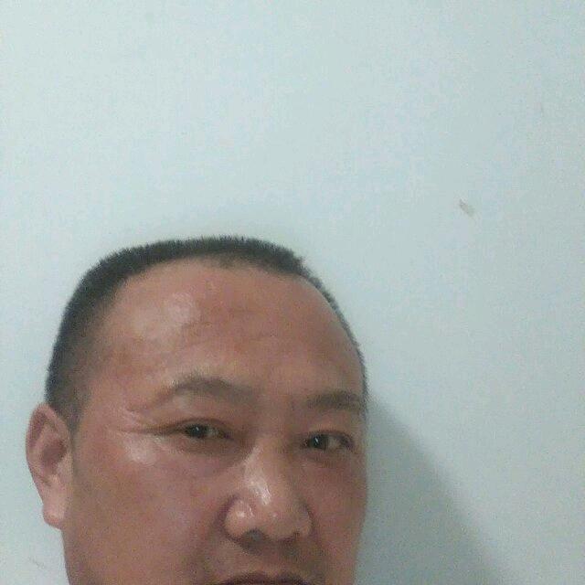 泽辉