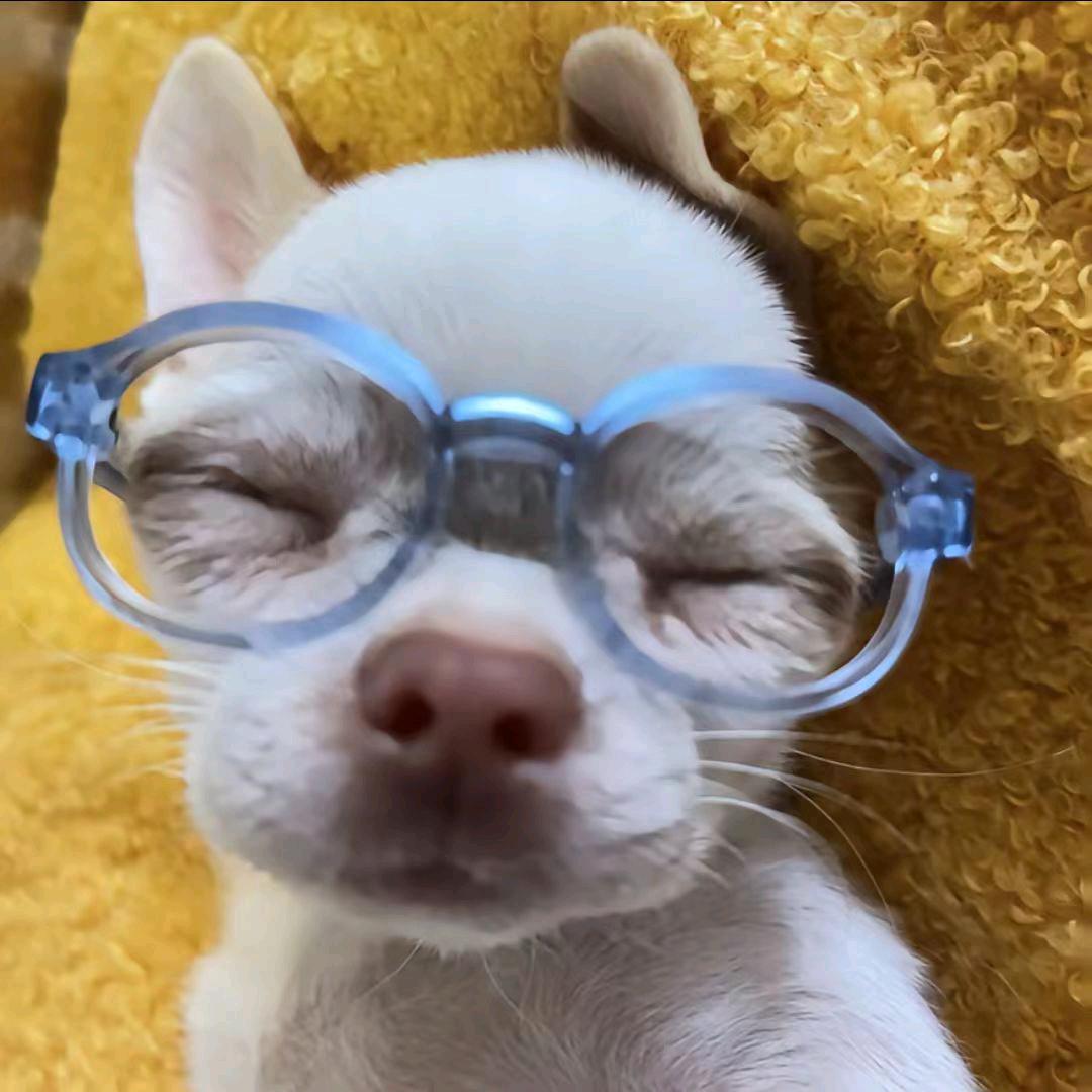 迁.