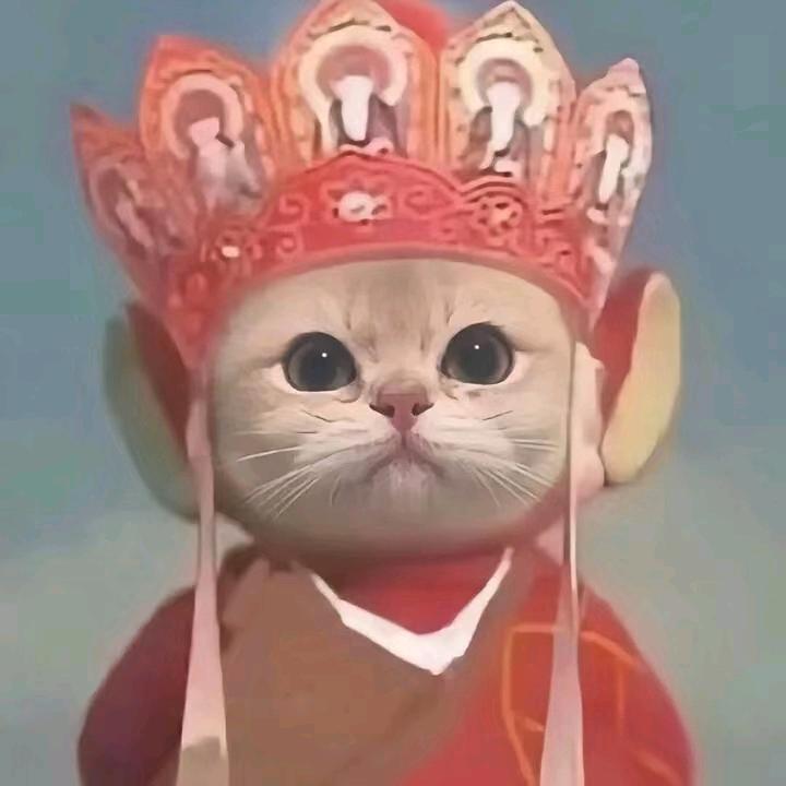 香蕉你个布乃乃