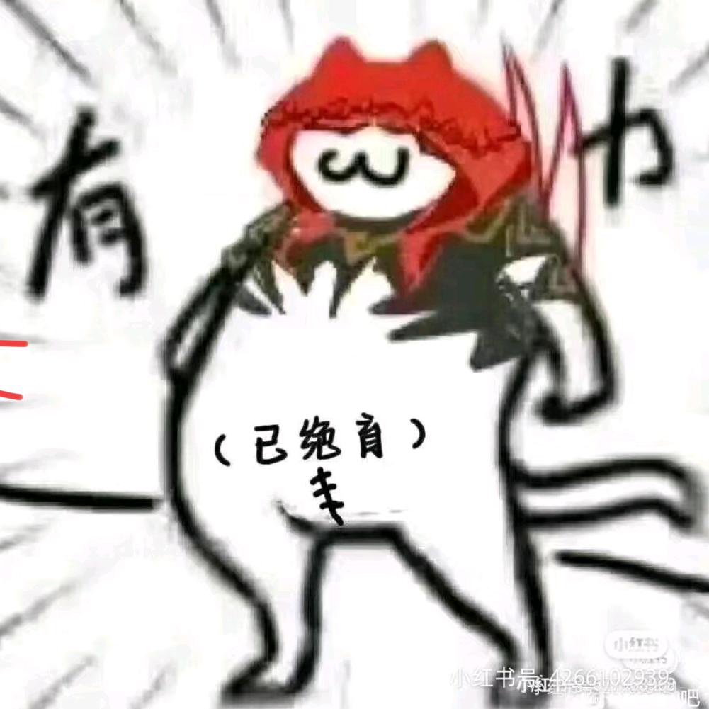 菜玩