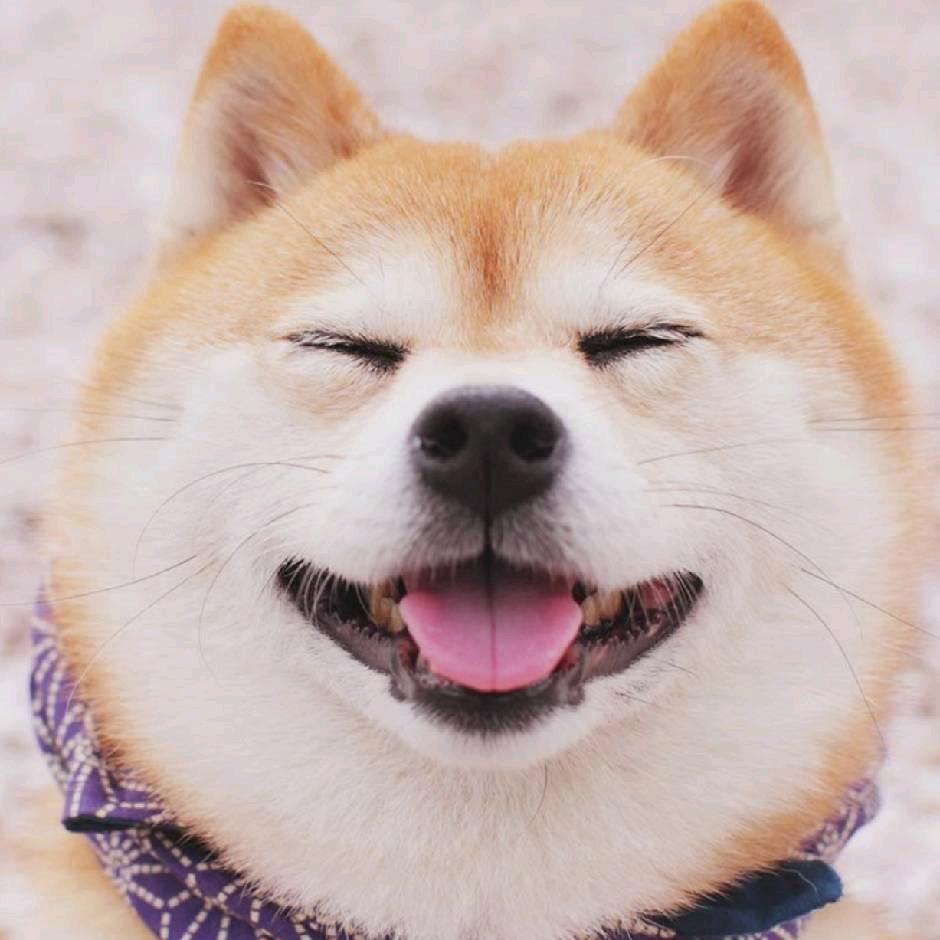雨夜不带刀w