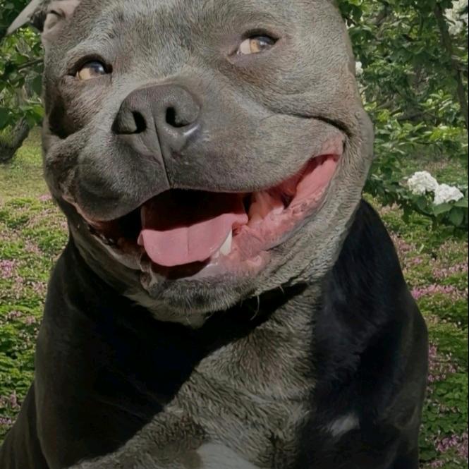 诸位 请退下吧 擂台不属于你们了