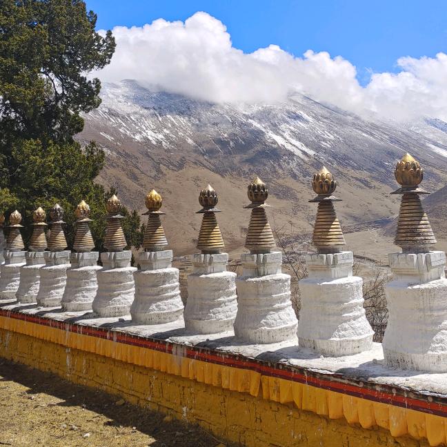 西藏藏药奕知堂