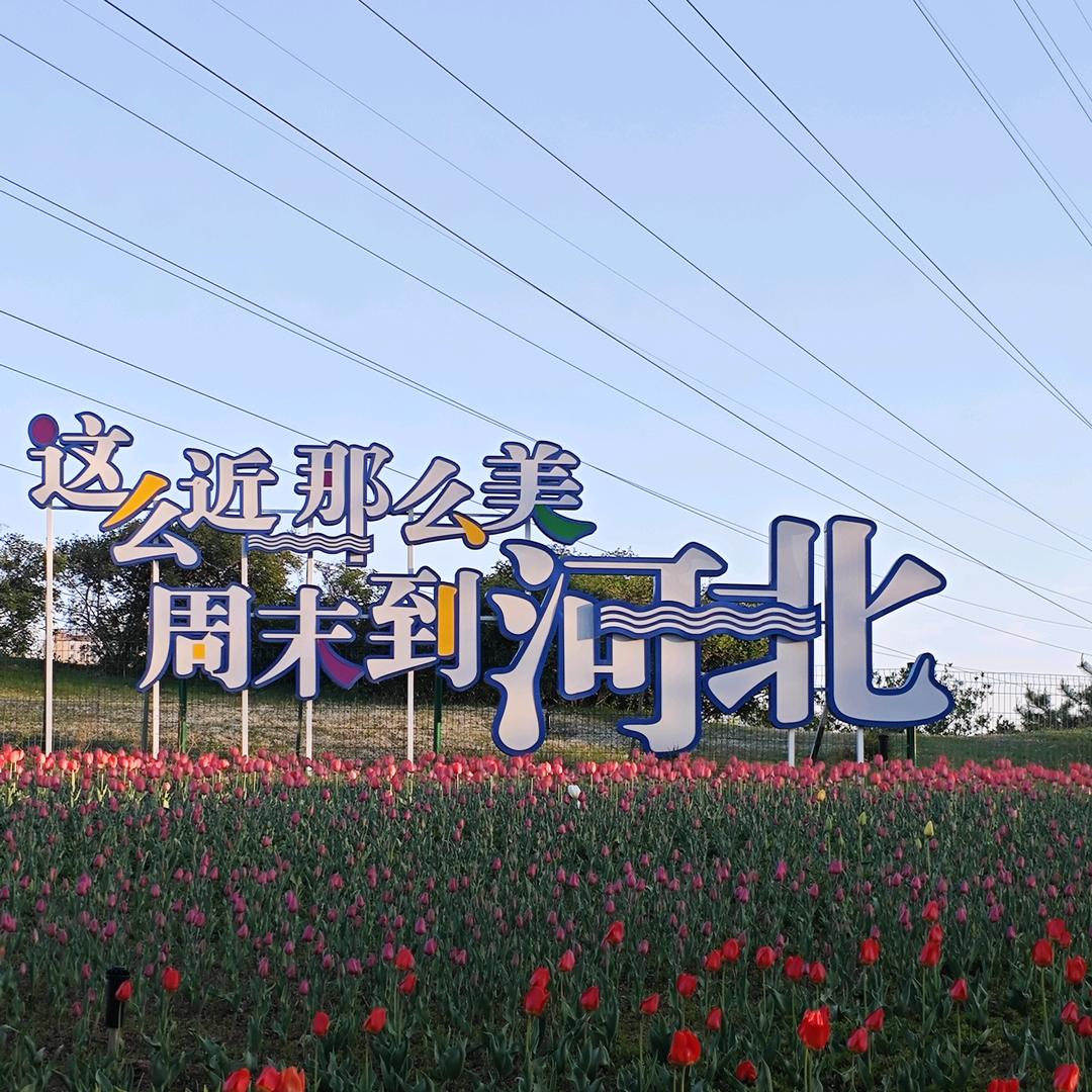 莹莹吖~