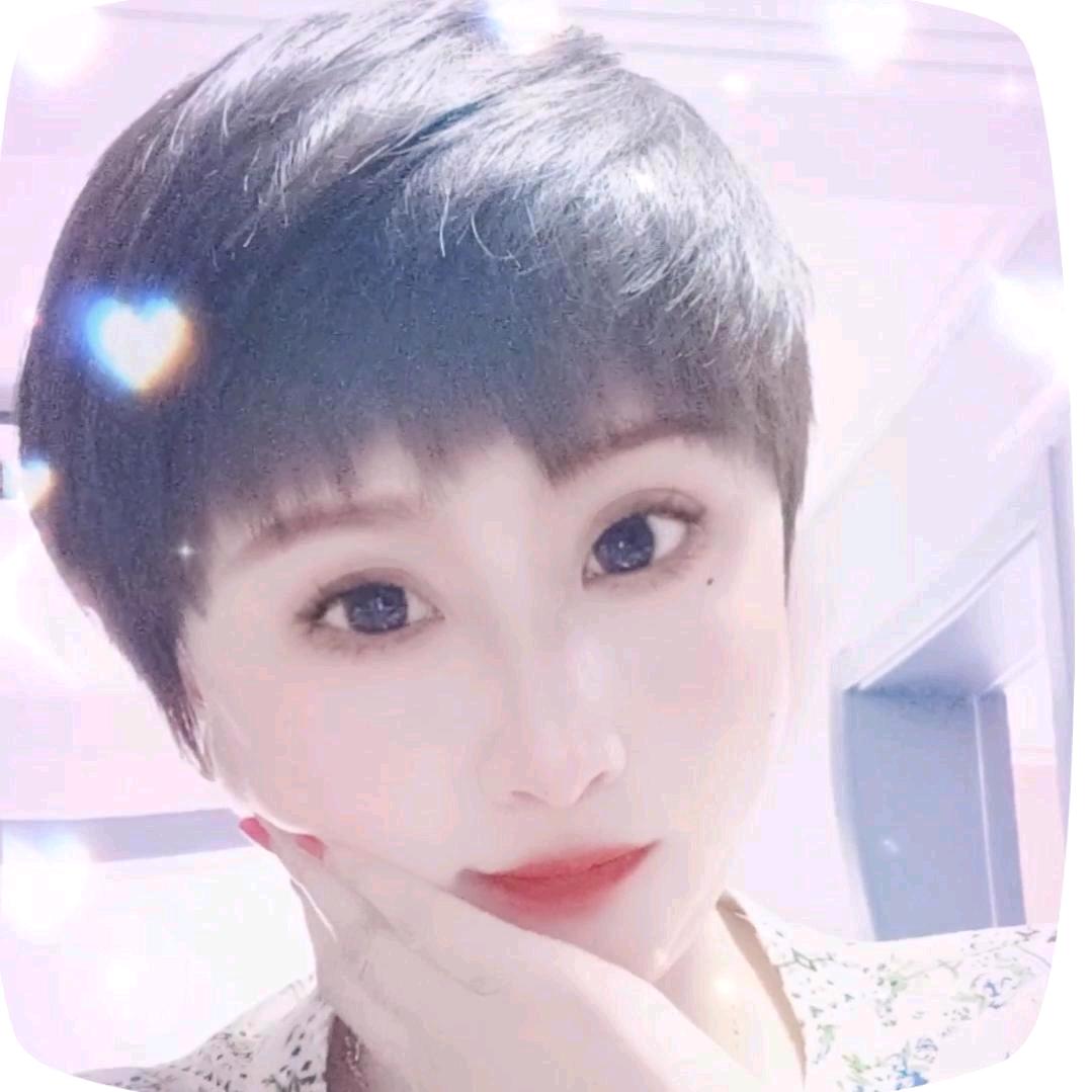金燕子