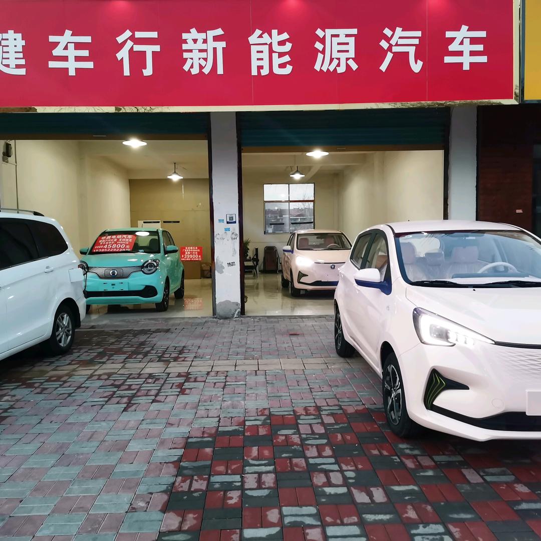 买各品牌电动，混合动力燃油汽车找王建车行