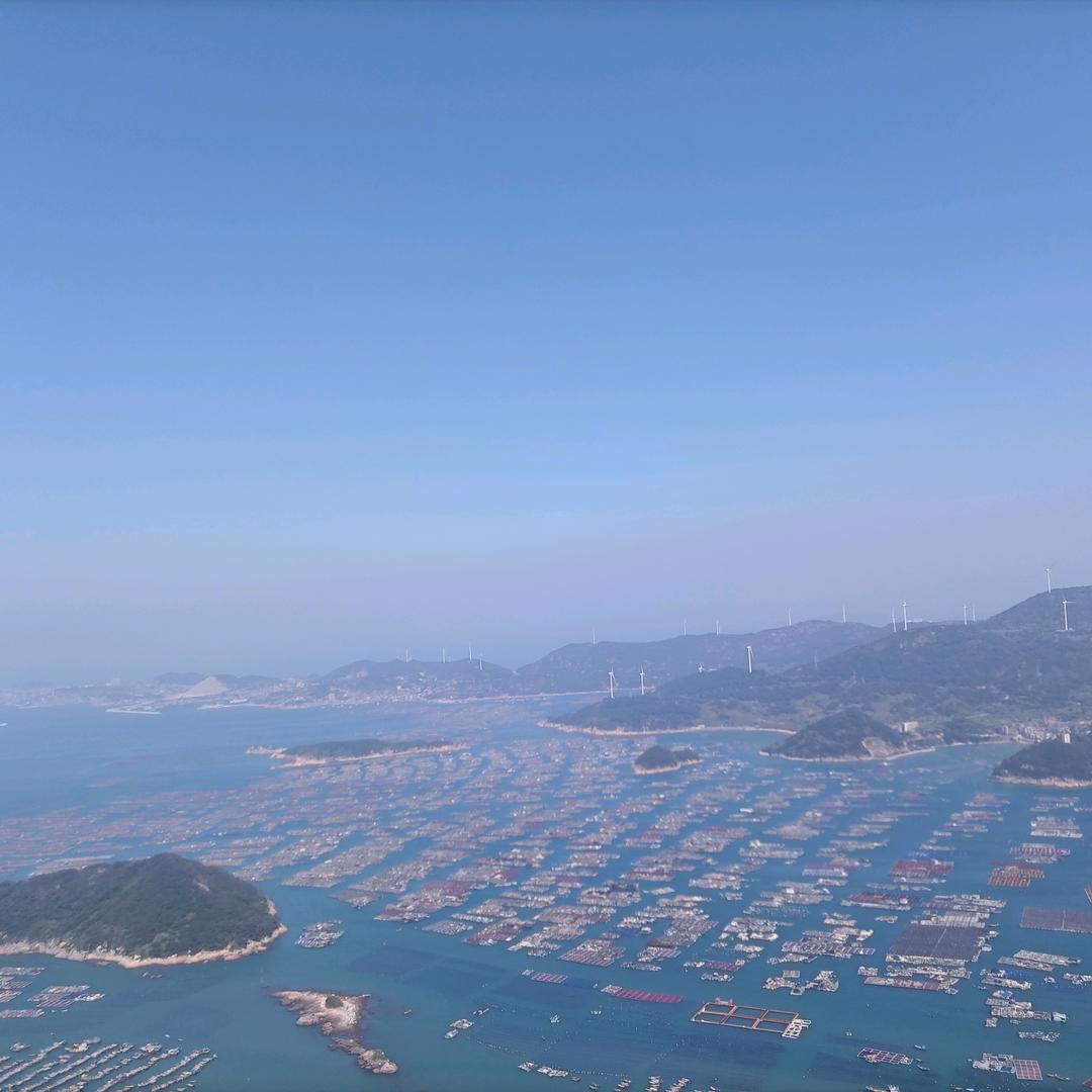 甜豆包