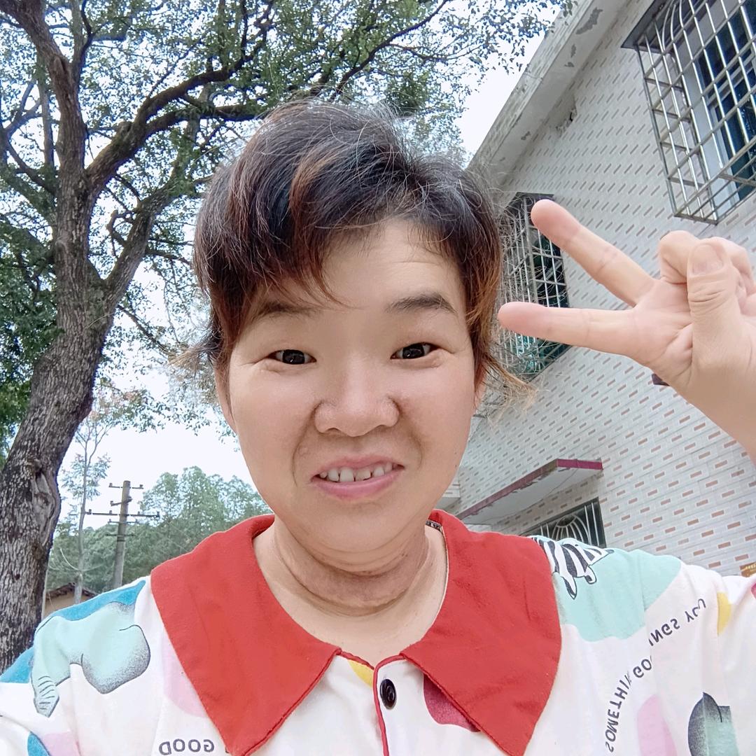 单纯的燕纸