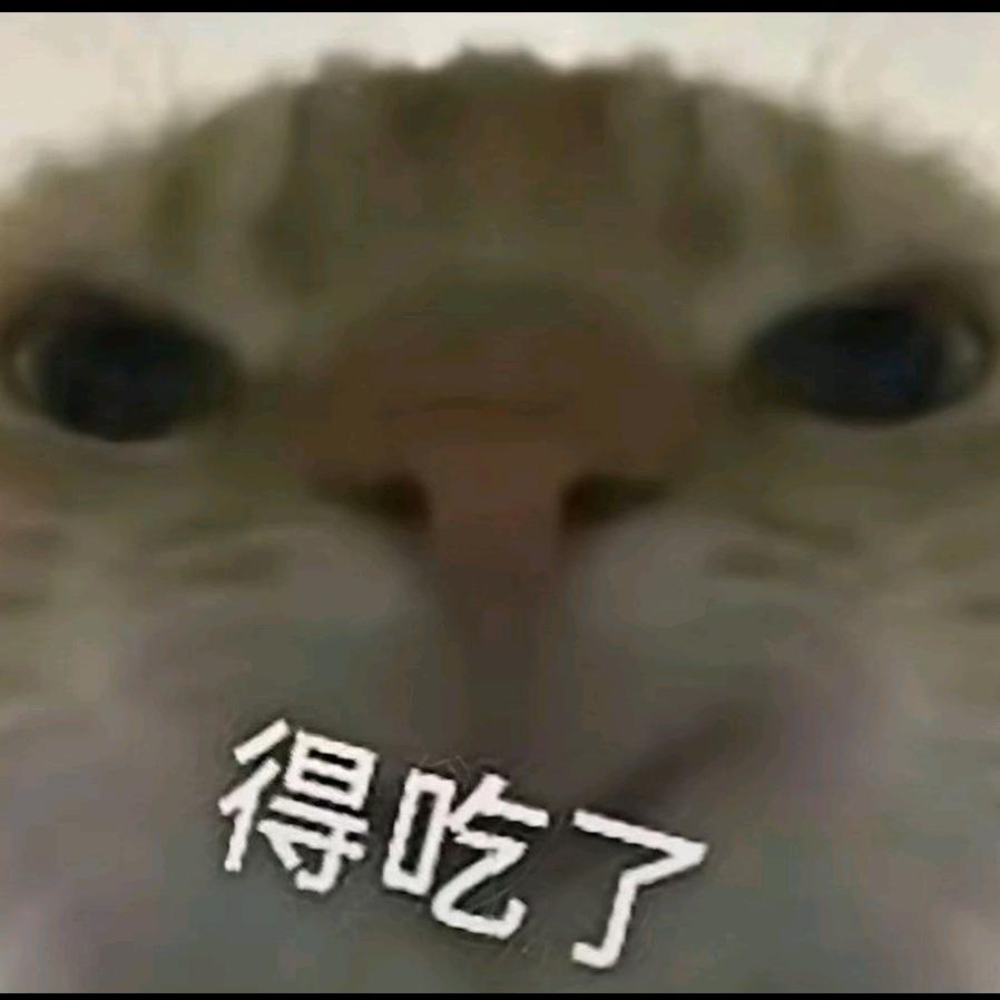 神秘鼠鼠