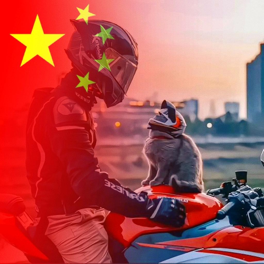 苏喂苏喂♪♪♪
