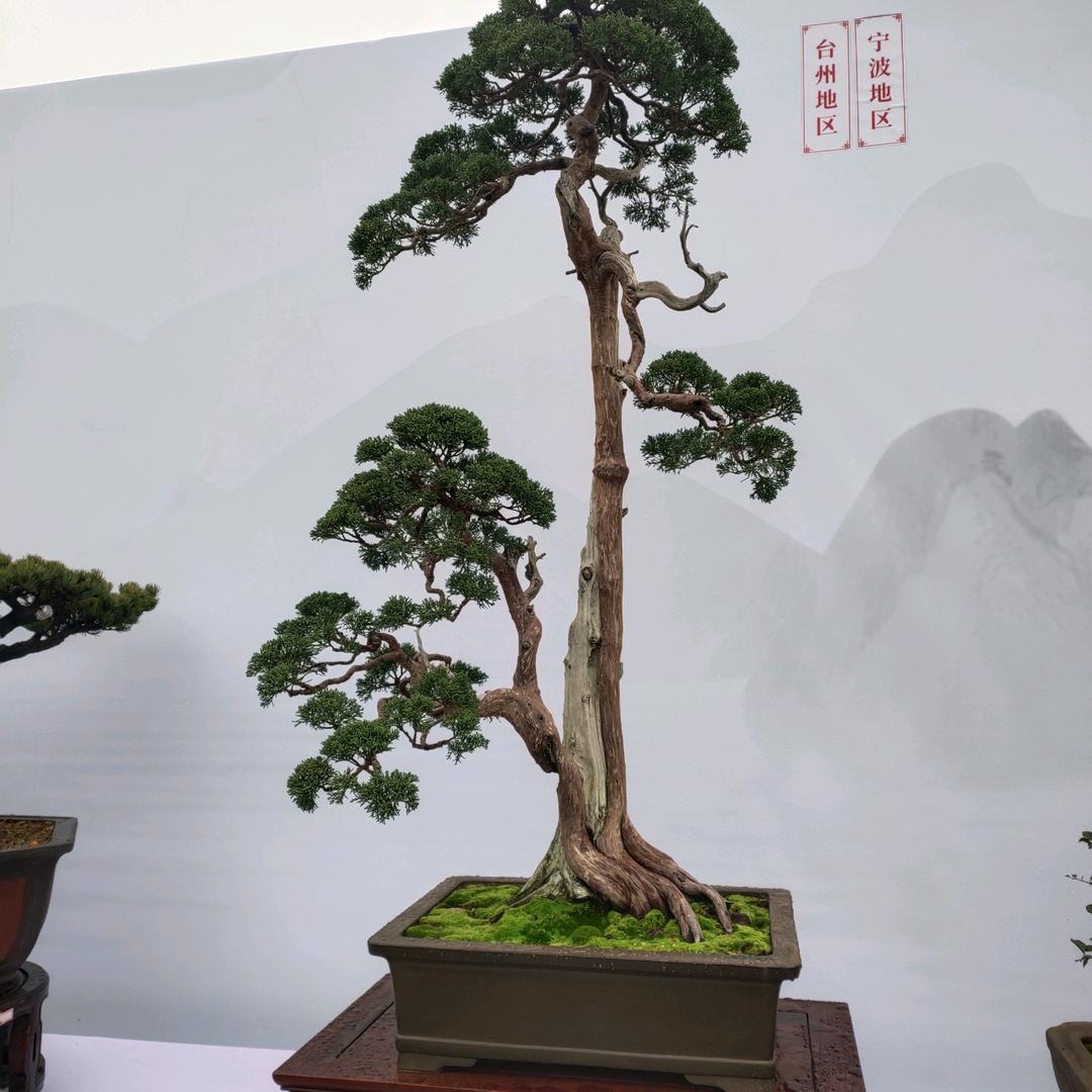 溢香园园艺