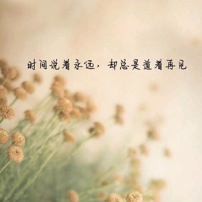 心事诉月色