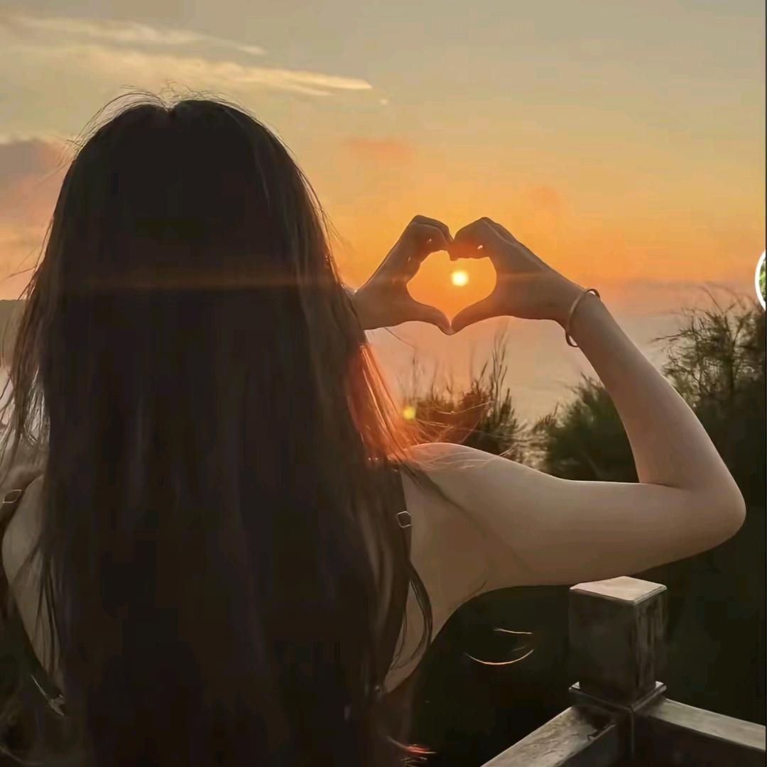 林歌衣橱