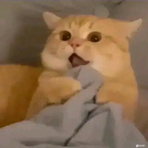 哇哒西蛙