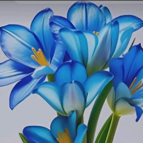 🌺🌺快乐的人🌺🌺加油你永远是最棒