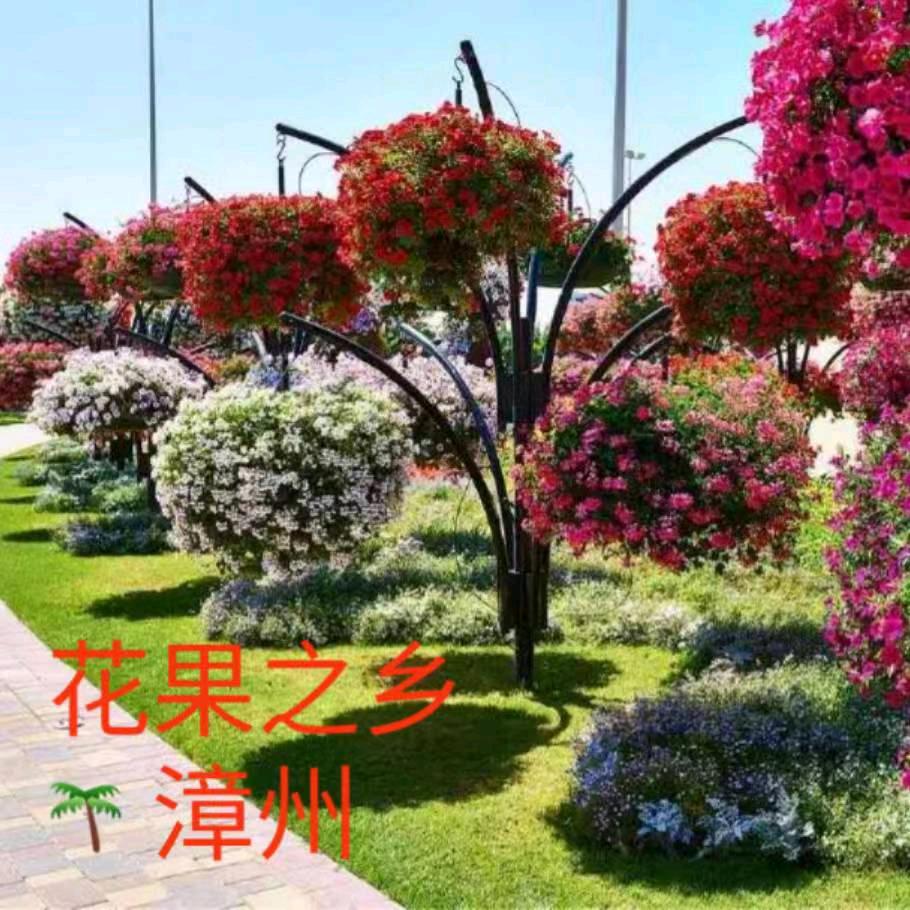 岁月沧桑