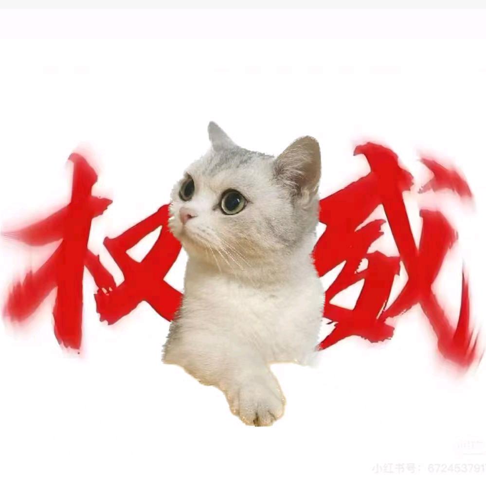 @陳晗