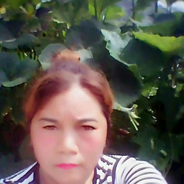 漂亮的花🌸