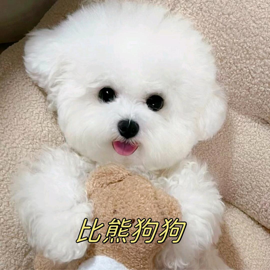 萌宠好物挖宝