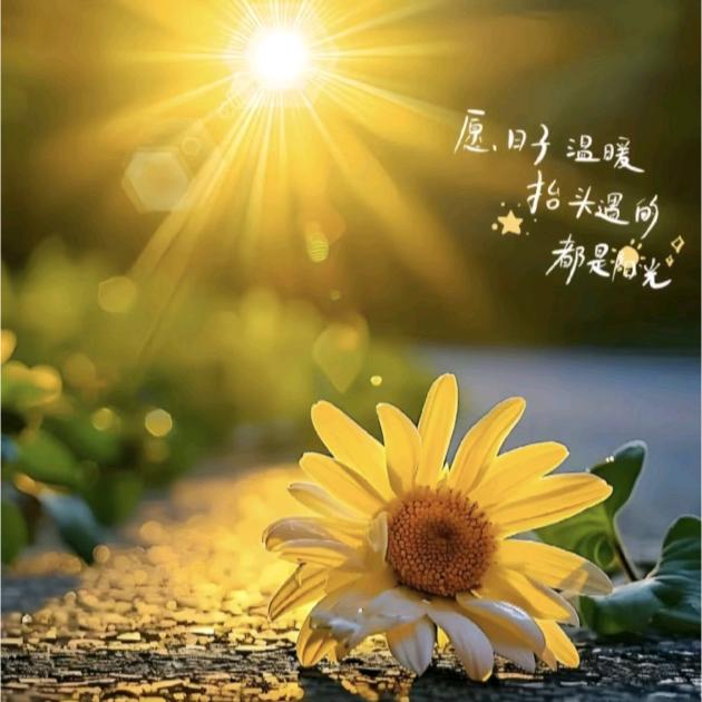 繁华似锦～