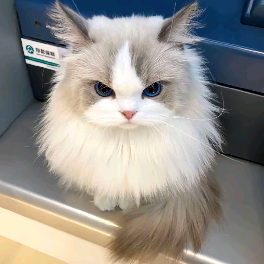 超爱鸡公煲哦～