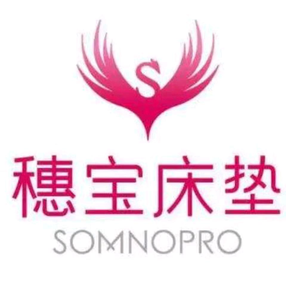 穗宝床垫(湖北总代理)