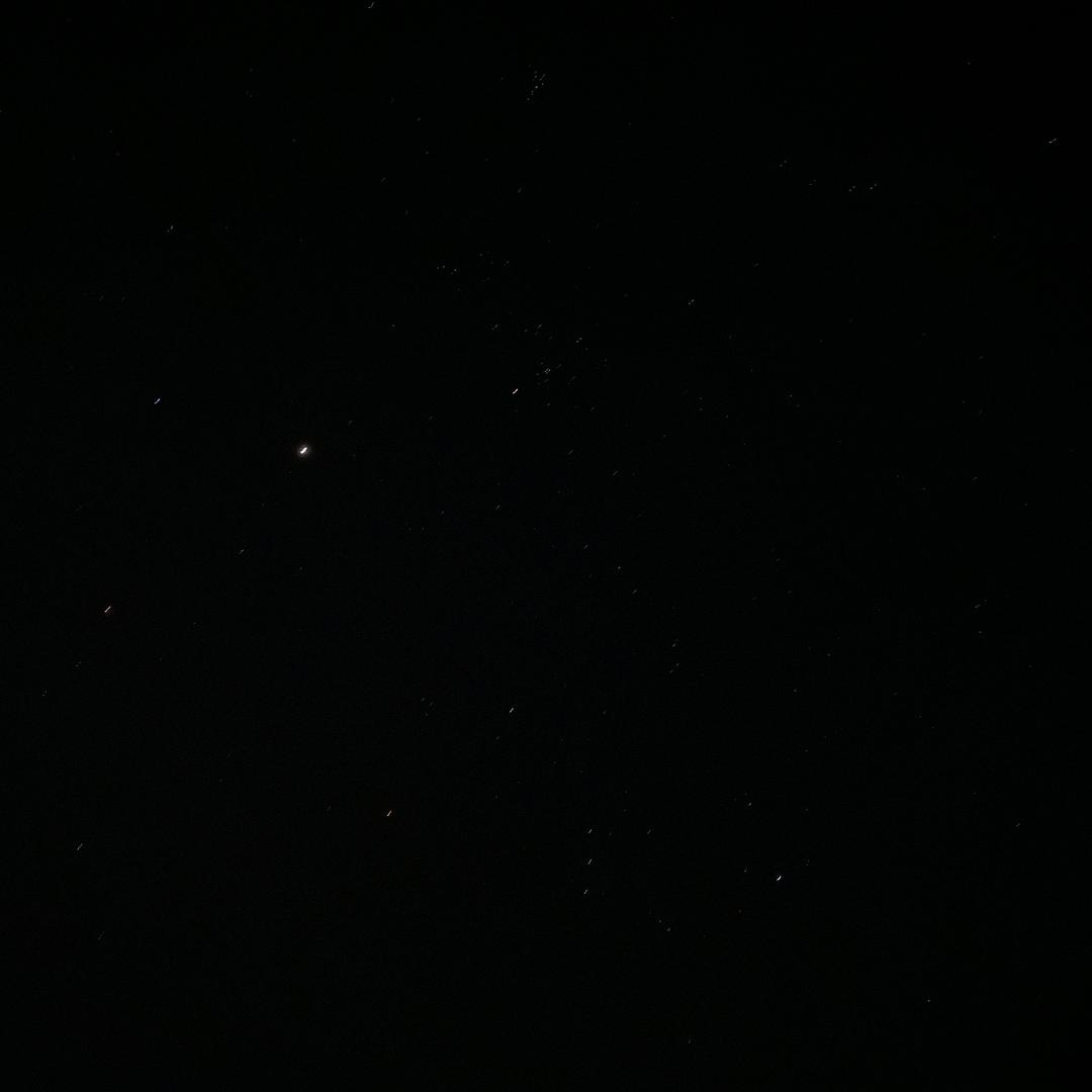 内蒙古的鹰