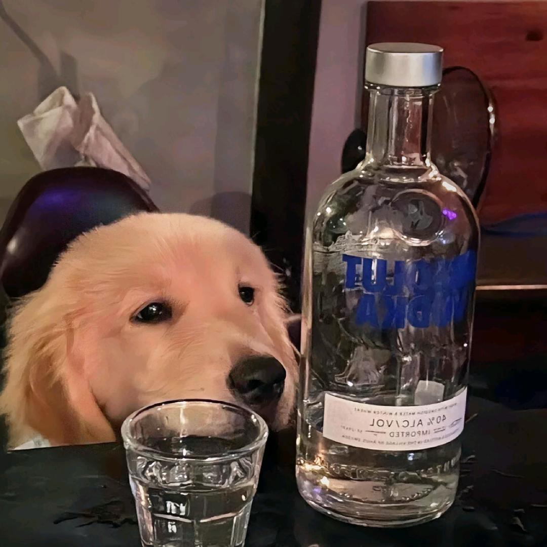 我不是鲨鱼辣椒