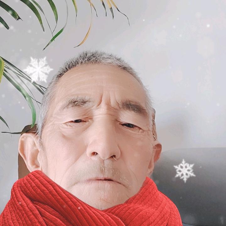 东北虎
