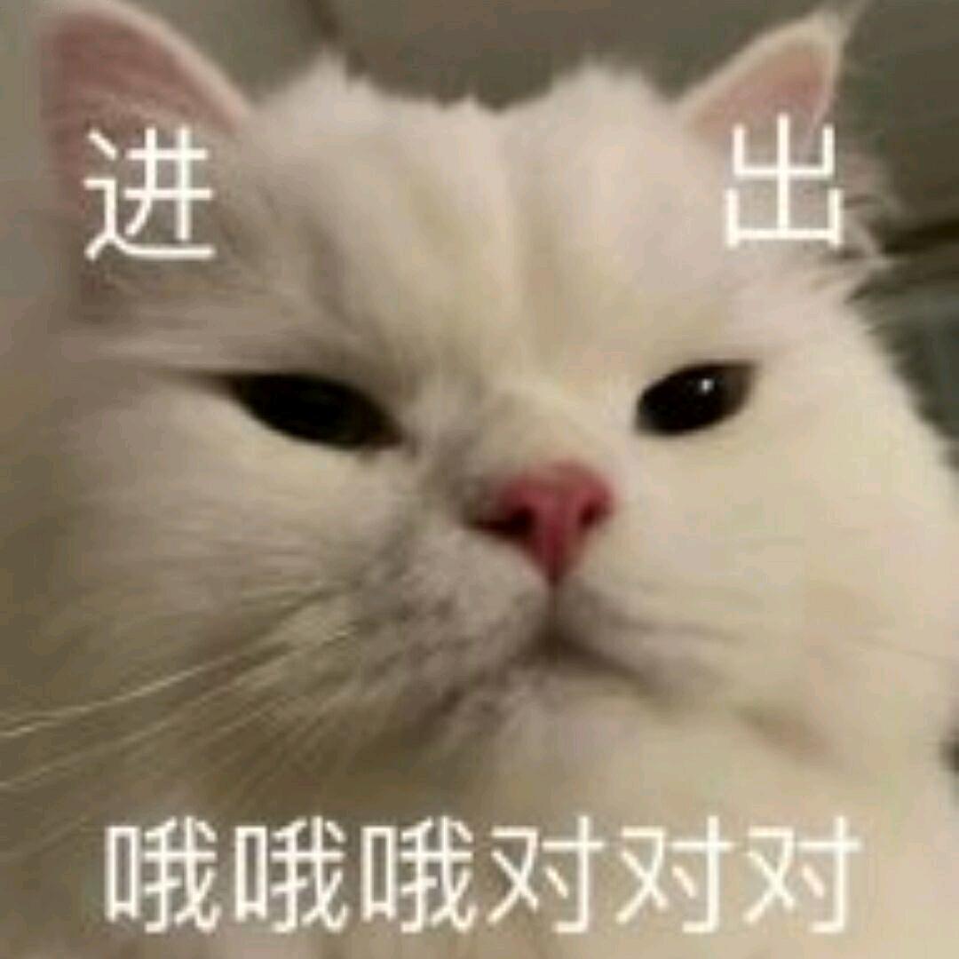 她不是