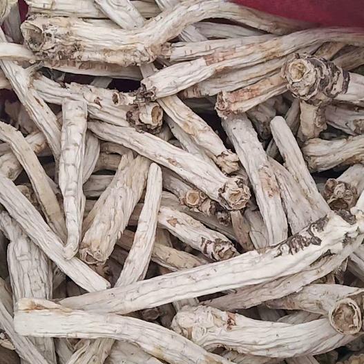 郭晓山桔梗专营