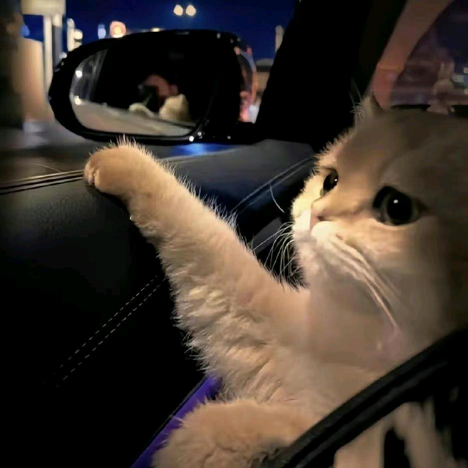 每天都睡不醒ZzZ