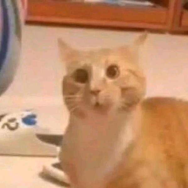 等等等等会