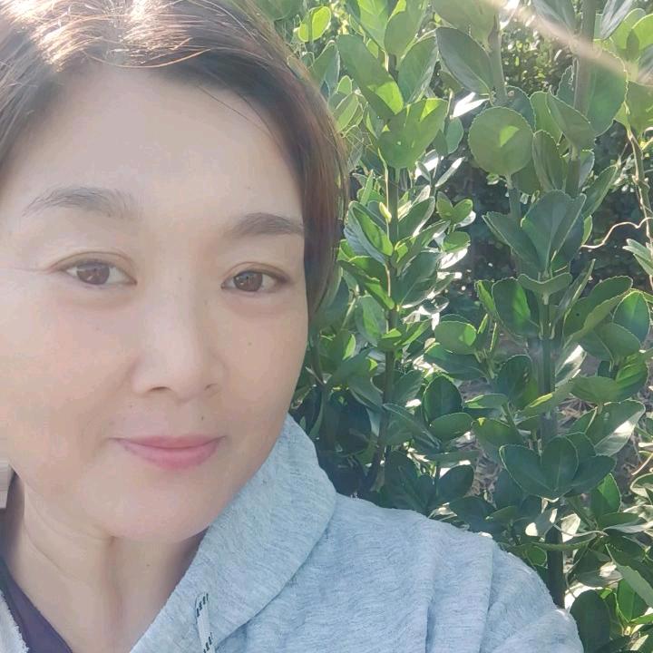 小桥流水（小乔苗木北海道黄杨瓜子黄杨)