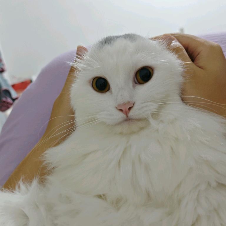 M瓜子我是有钱