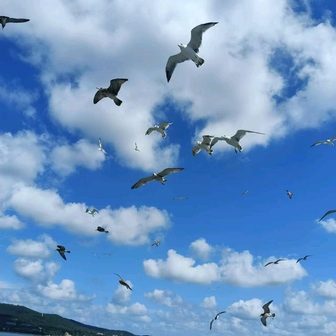 柳园水泥发泡陶瓷EPS构件造型源头生产厂