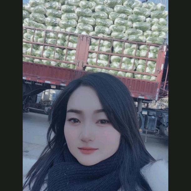 河南焦作蔬菜代办高敏