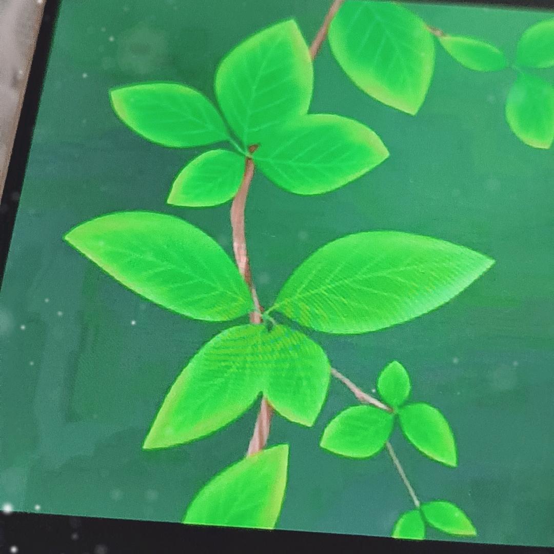 小芒果