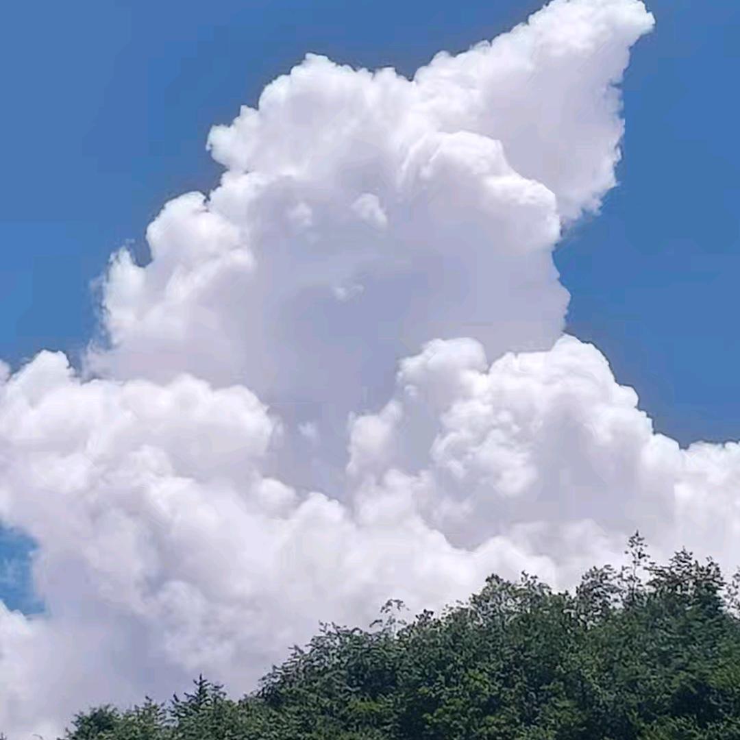 踏雪无痕