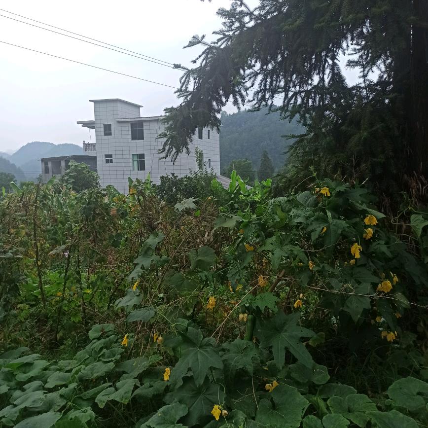 小游百货