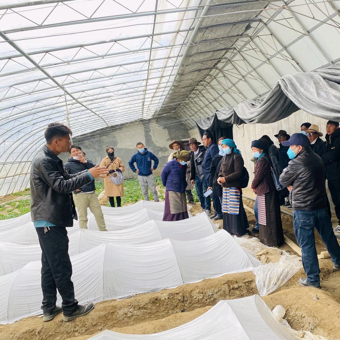 嘎冲耗林牧谷营地