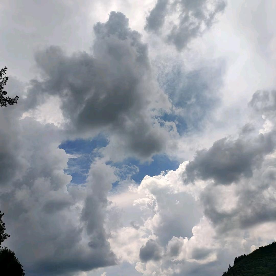 此情此景，我想煮鸡汤一碗