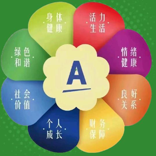 金锅王子—MR.YU