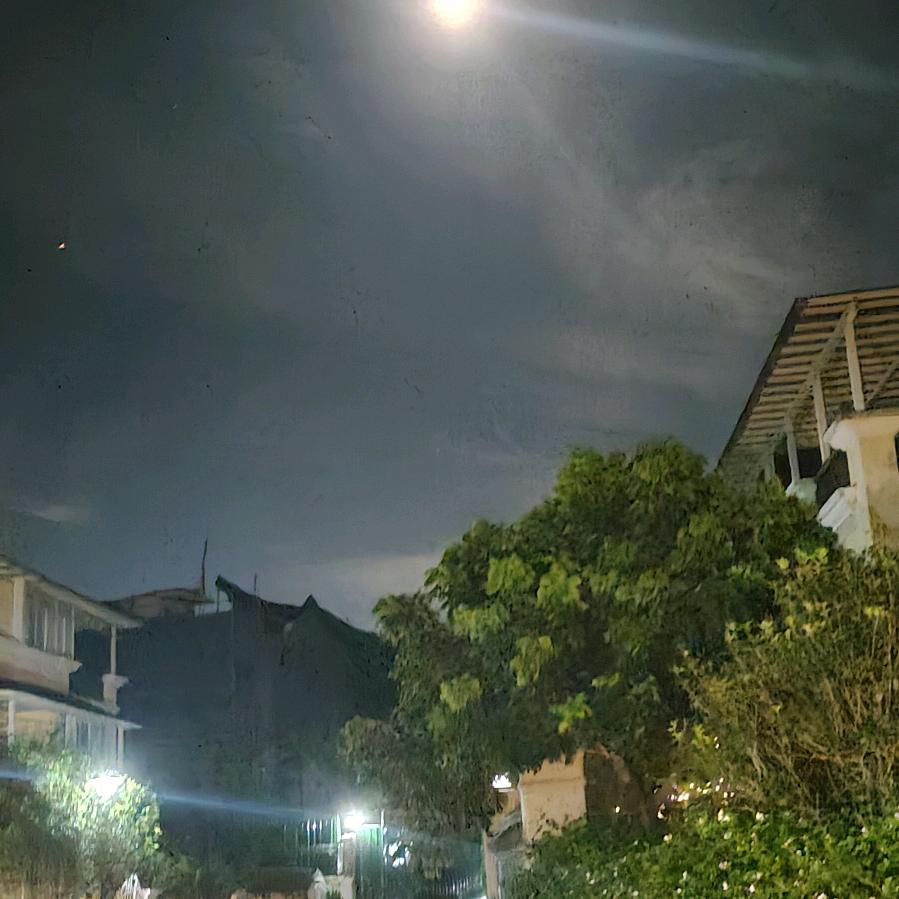 🍁ヾ(❀╹◡╹)ﾉﾞ❀~