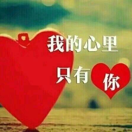 🈶情🈶义
