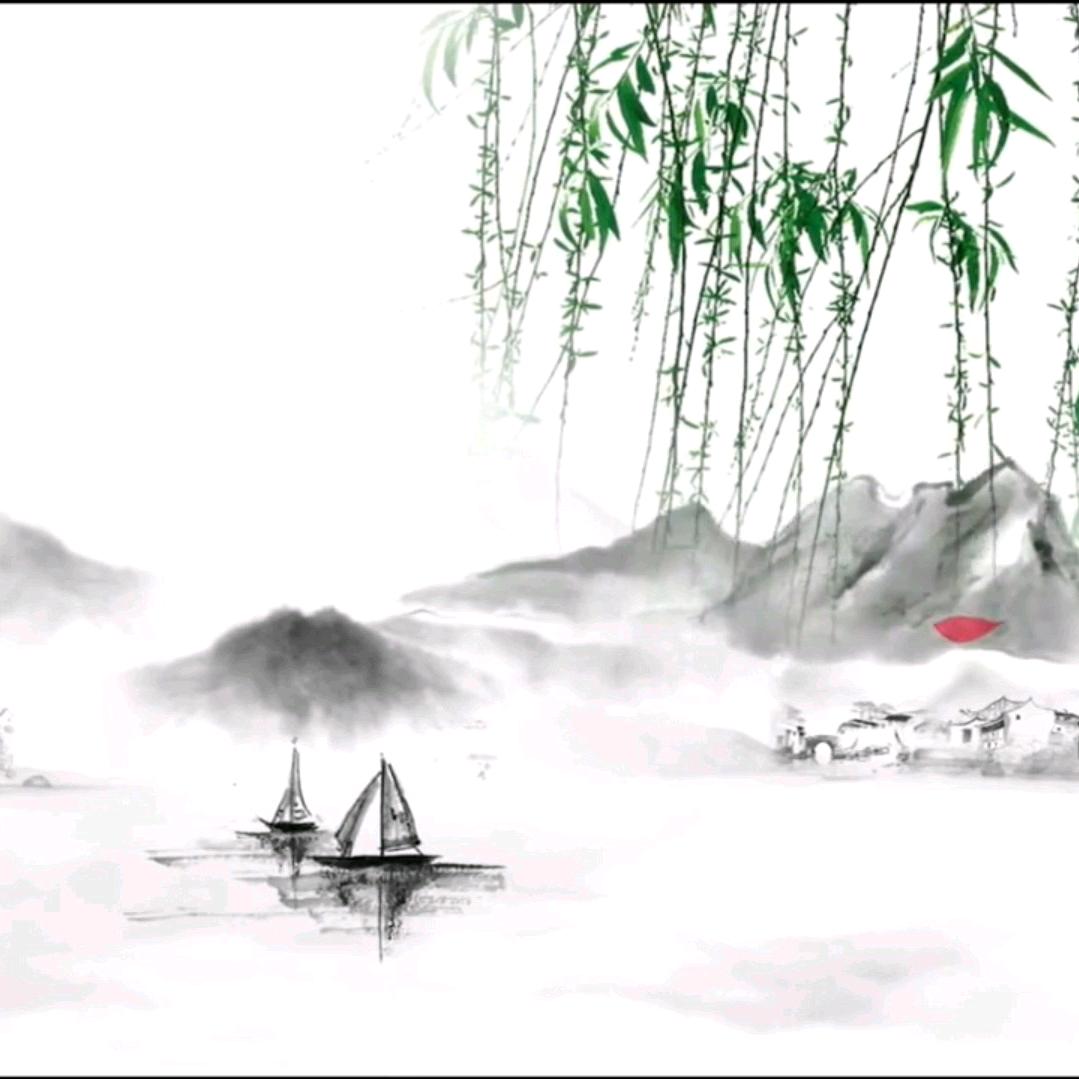 信芷