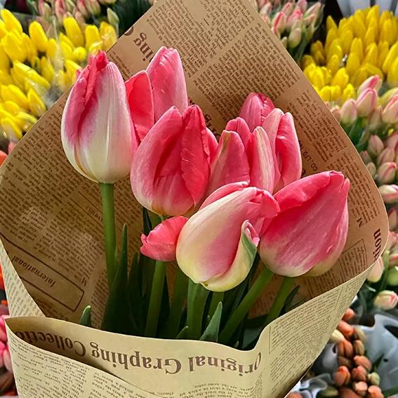 美好人生（拒绝私聊）