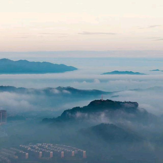 太康县纷芸百货店（个体工商户）