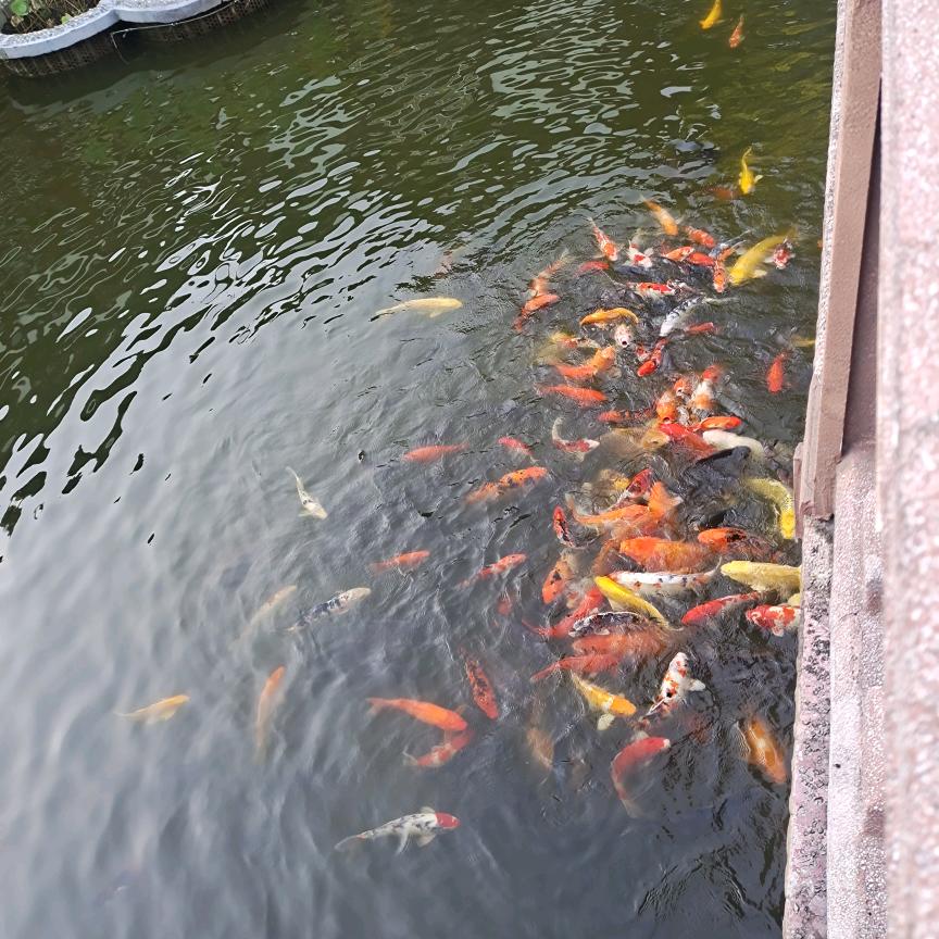 淘气的老阿姨