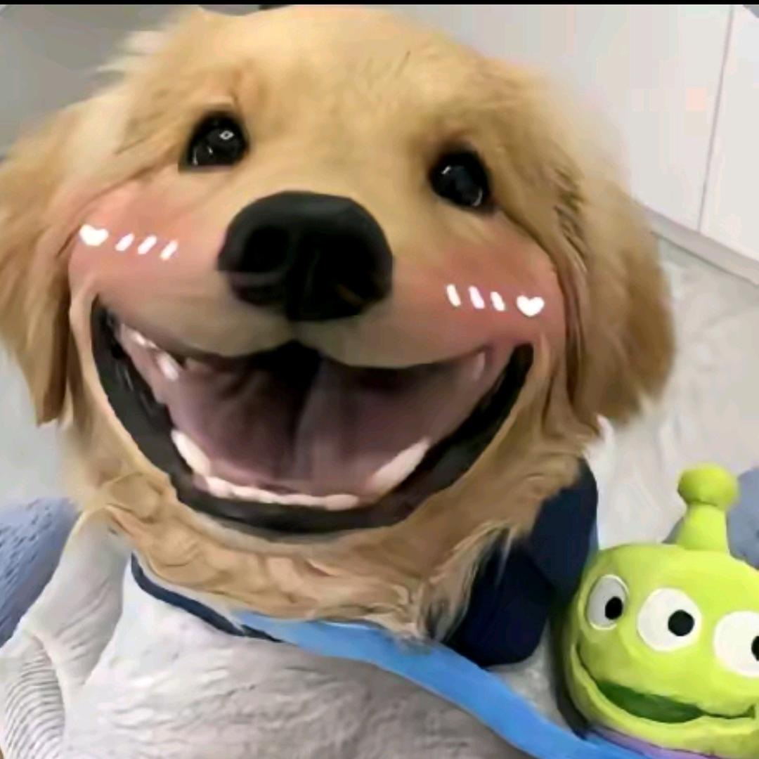 你干嘛